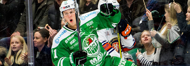 david_aslin_rogle_zelos_hockey